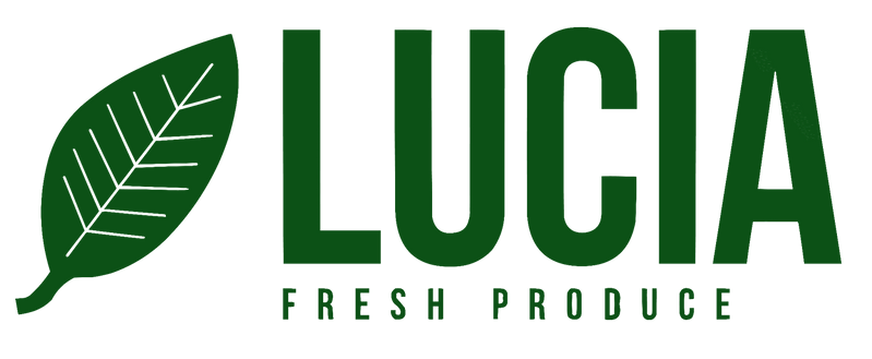 Lucia Lucia